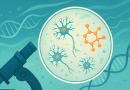 Vitamin D Linked to Improved Cognitive Scores in Older Adults with Sleep Issues